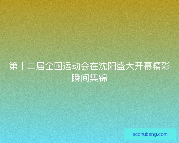 第十二届全国运动会在沈阳盛大开幕精彩瞬间集锦